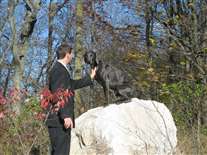 Click for large image