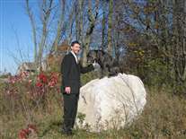 Click for large image