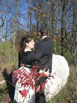 Click for large image