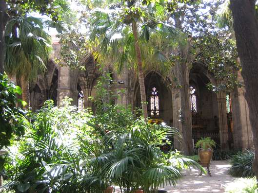 Click for large image