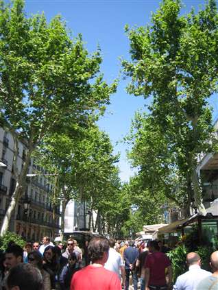 Click for large image