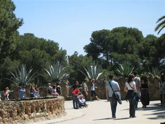 Click for large image