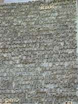 Click for large image