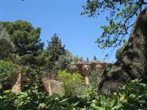 Click for large image