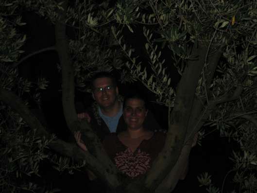 Click for large image