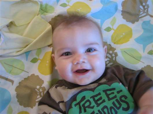 Click for large image