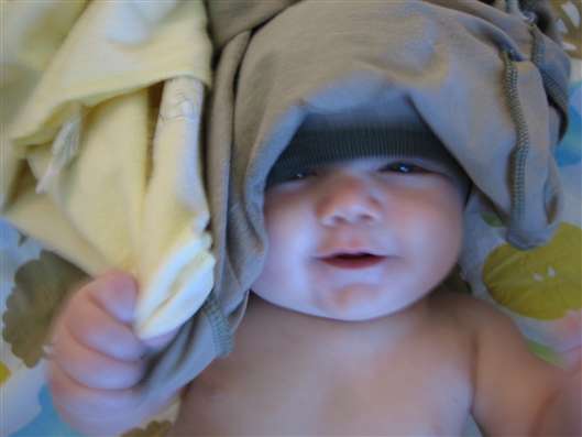 Click for large image