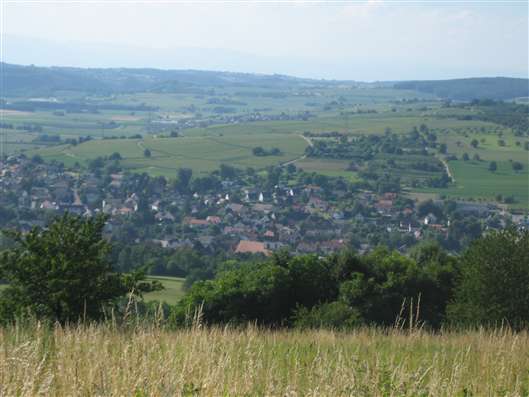 Click for large image