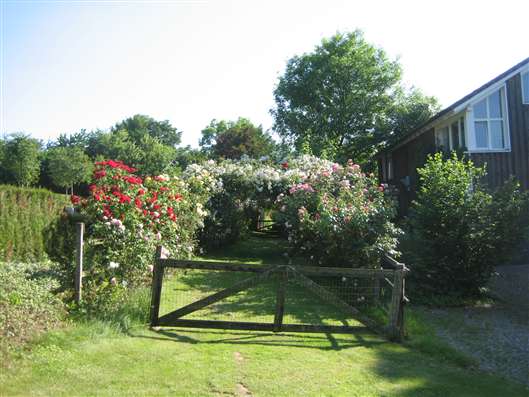 Click for large image