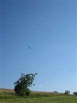 Click for large image