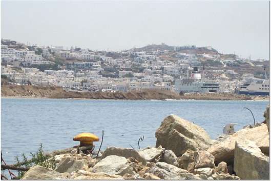 Click for large image