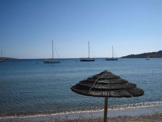 Click for large image