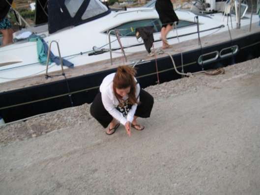 Click for large image