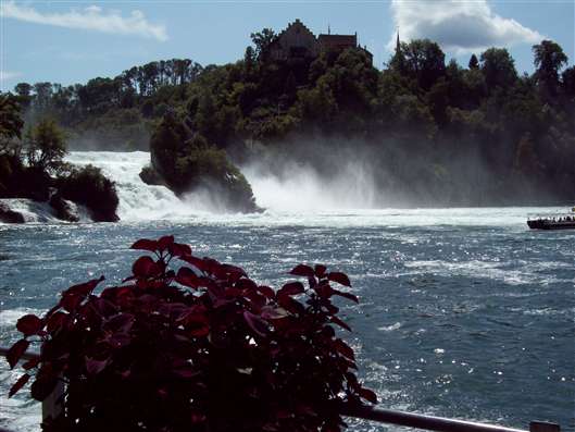 Click for large image