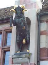 Click for large image