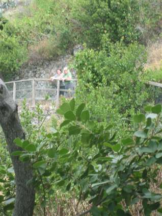 Click for large image