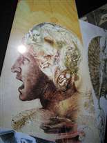 Click for large image