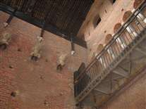 Click for large image