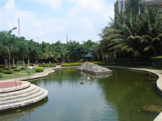 Click for large image