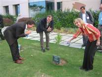 Click for large image