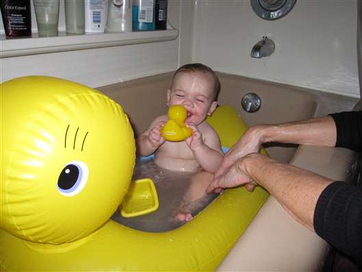 Click for large image