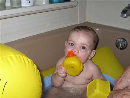 Click for large image