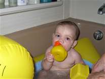 Click for large image